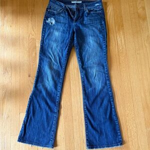 Joe's Jeans Blue Flare Denim